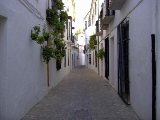 La Villa Priego de Córdoba Pokoj fotografie